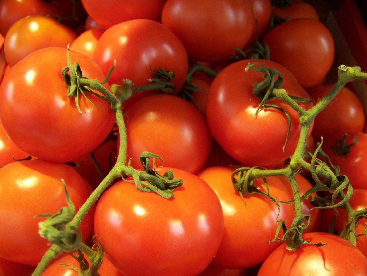 A pile of tomatoes that are red and green.